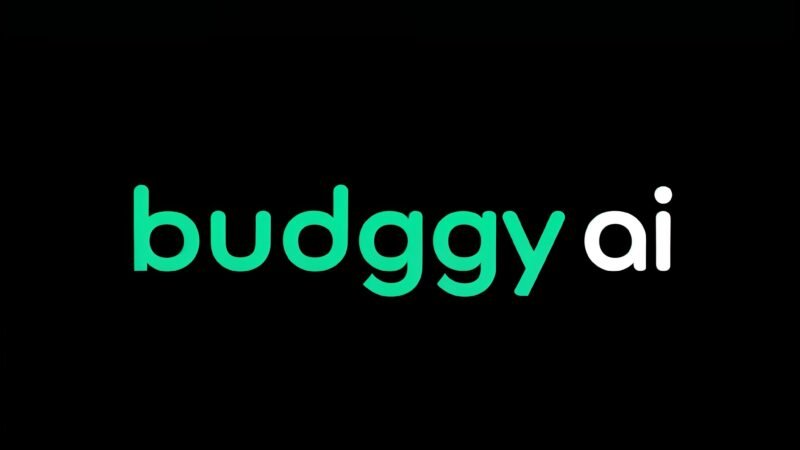 budggy ai Logo on dark background